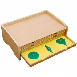 cabinet de botanique feuilles complet