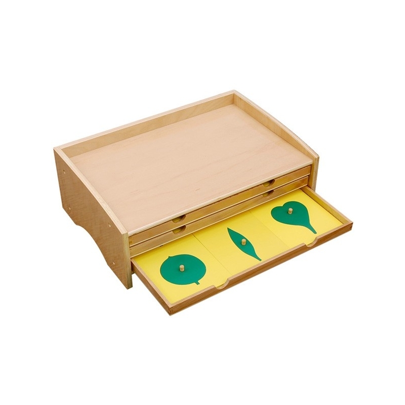 cabinet de botanique feuilles complet