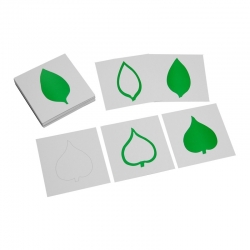 cartes "feuilles" pour cabinet botanique