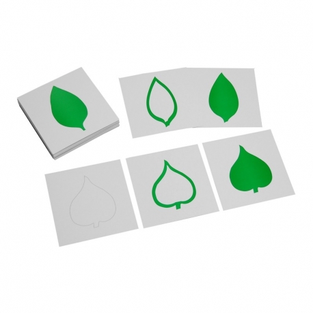 cartes "feuilles" pour cabinet botanique