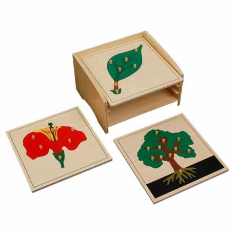 cabinet de 3 puzzle botanique complet