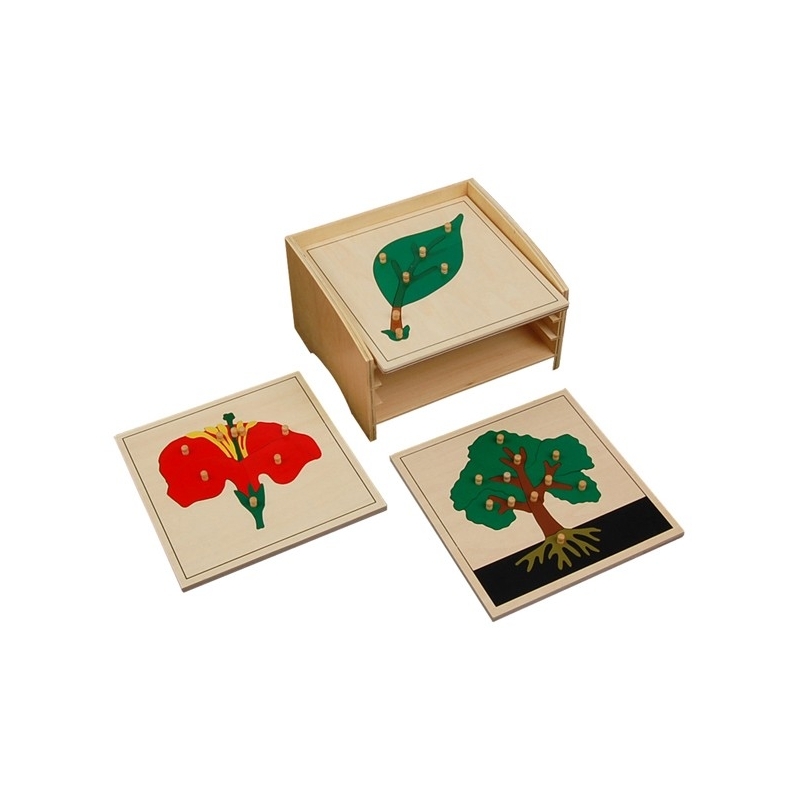 cabinet de 3 puzzle botanique complet