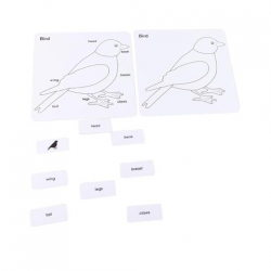 puzzle oiseau