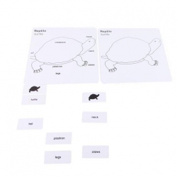 puzzle oiseau