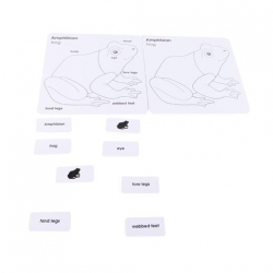puzzle oiseau