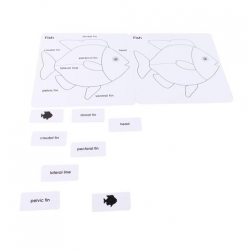 puzzle oiseau