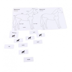 puzzle oiseau
