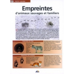 volumes fractionnés