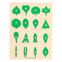 plaque botanique feuilles + feuille de controle