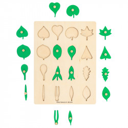 plaque botanique feuilles + feuille de controle