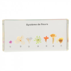 Système de fleurs.