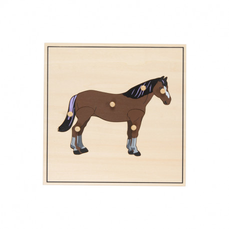 Puzzle cheval squelette.