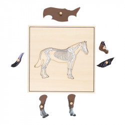 Puzzle cheval squelette.