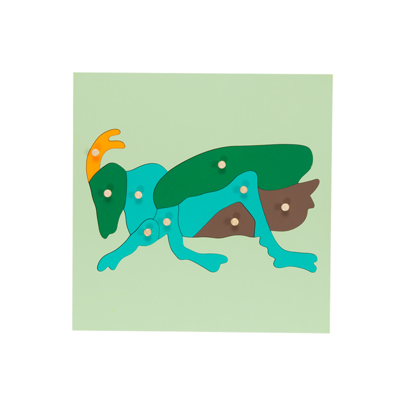 puzzle criquet
