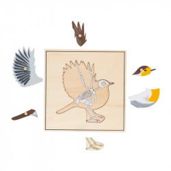 Puzzle oiseau squelette.