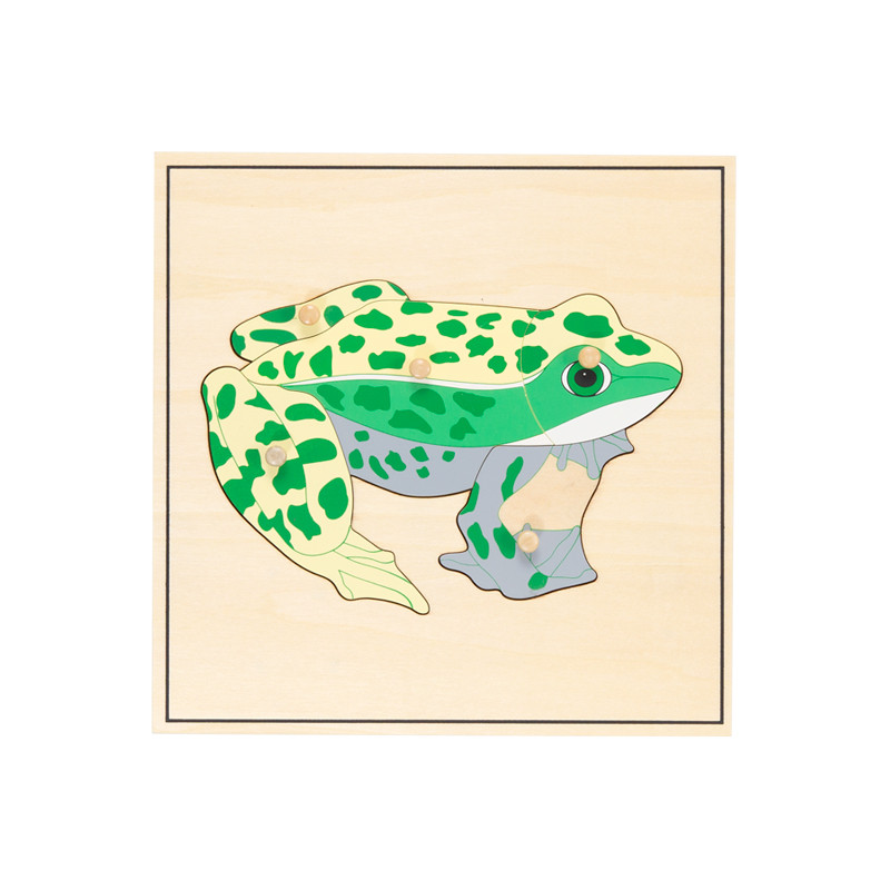 Puzzle grenouille squelette.