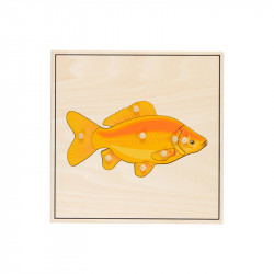 Puzzle poisson squelette.