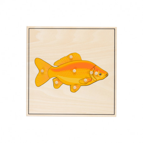 Puzzle poisson squelette.