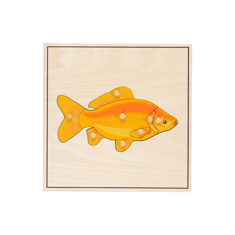 Puzzle poisson squelette.