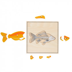Puzzle poisson squelette.