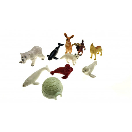 Les animaux de l'artique.