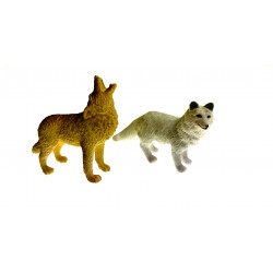 Les animaux de l'artique.
