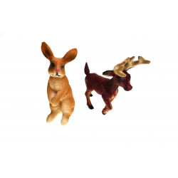 Les animaux de l'artique.