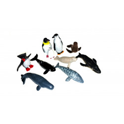Les animaux de l'antarctique.