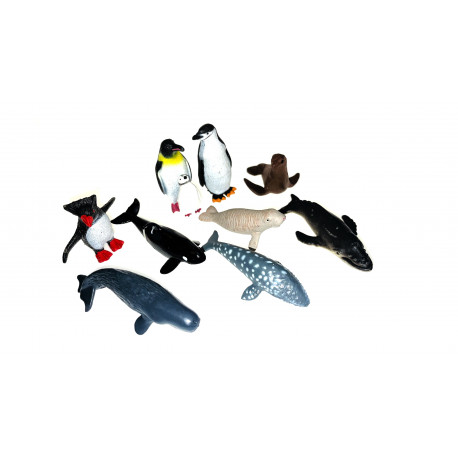 Les animaux de l'antarctique.