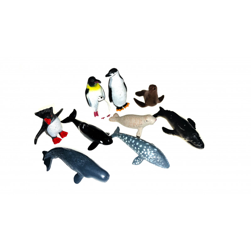 Les animaux de l'antarctique.
