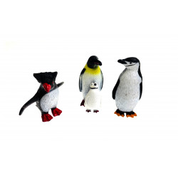 Les animaux de l'antarctique.