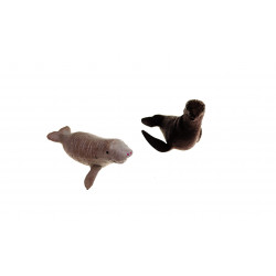 Les animaux de l'antarctique.