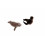 Les animaux de l'antarctique.