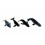 Les animaux de l'antarctique.