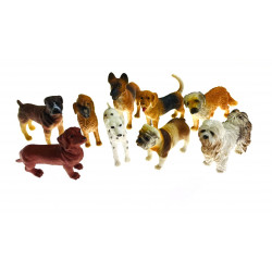 Différents chiens.