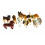 Différents chiens.