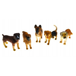 Différents chiens.