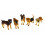 Différents chiens.