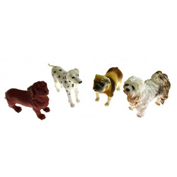 Différents chiens.