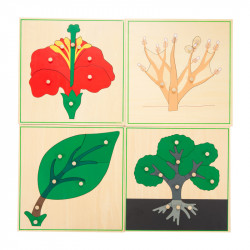 cabinet de 3 puzzle botanique complet