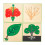 cabinet de 3 puzzle botanique complet