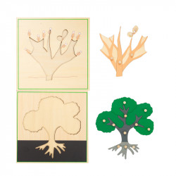 cabinet de 3 puzzle botanique complet