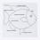 puzzle oiseau