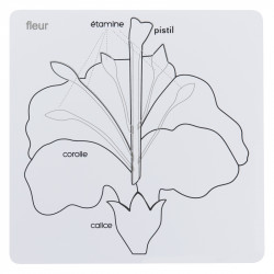 puzzle fleur en bois nouveau