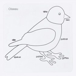 puzzle oiseau