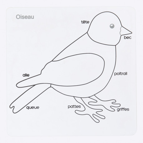 puzzle oiseau