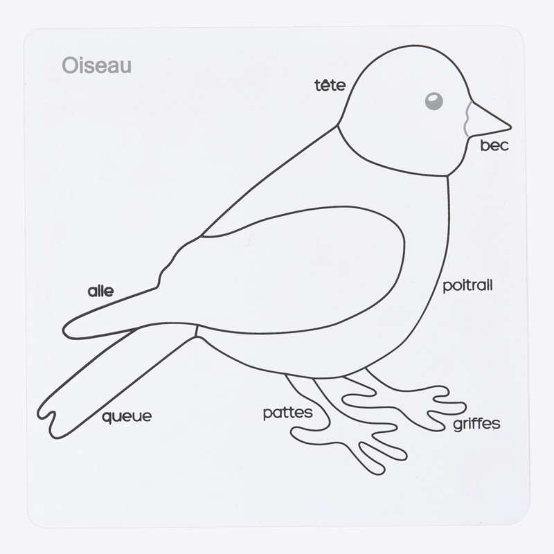 puzzle oiseau