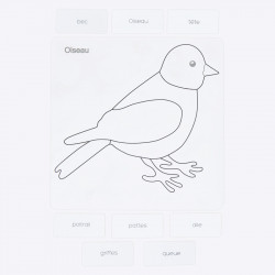 puzzle oiseau