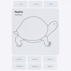 puzzle oiseau