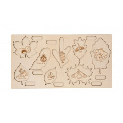 cabinet de botanique feuilles complet